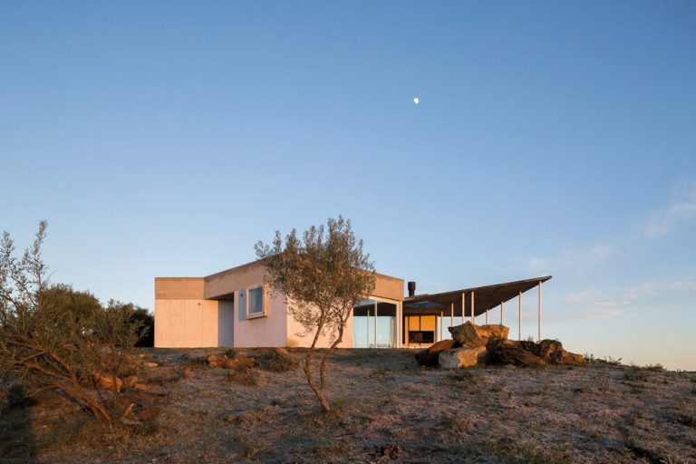 javier-agustin-rojas_yvytu_IMG_3406_low