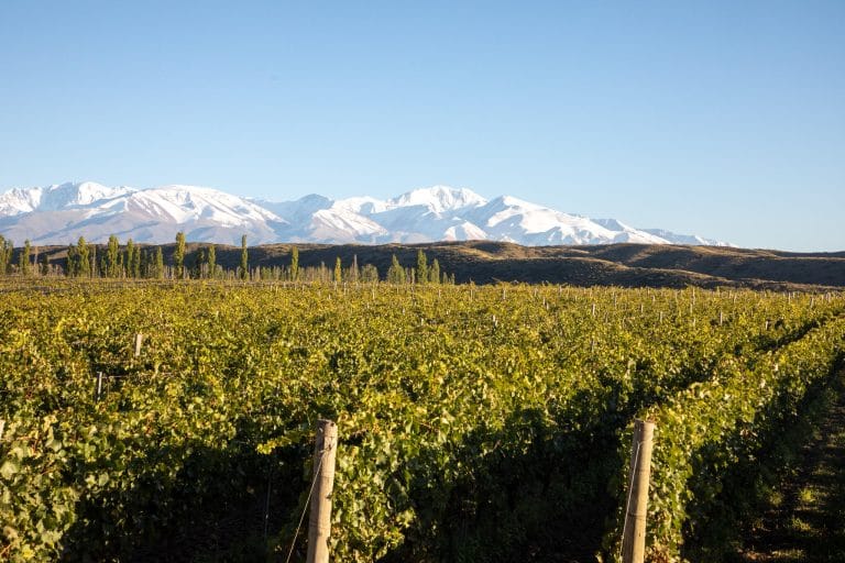 2505dab82c4ebec6cbc071dc5c13b7de696e37cab1210fb8c6aa098f10a5156d