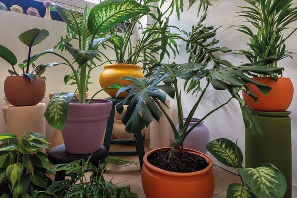 ayd 320 completa-150