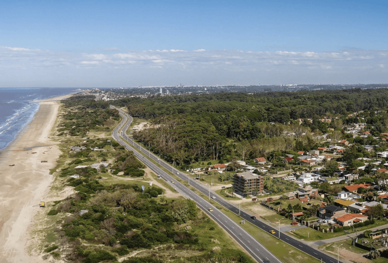 Captura de pantalla 2025-01-28 a la(s) 13.50