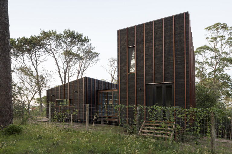 03_fschapochnik_149_juanita_082_media