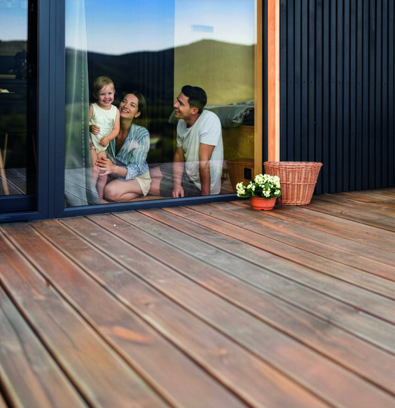 istockphoto-1276491904-2048x2048 - Firefly Upscaler, escala 2x